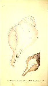 n165_w1150