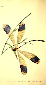 n17_w1150