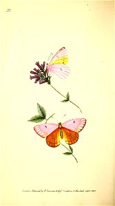 n111_w1150