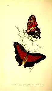 n177_w1150