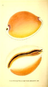 n243_w1150