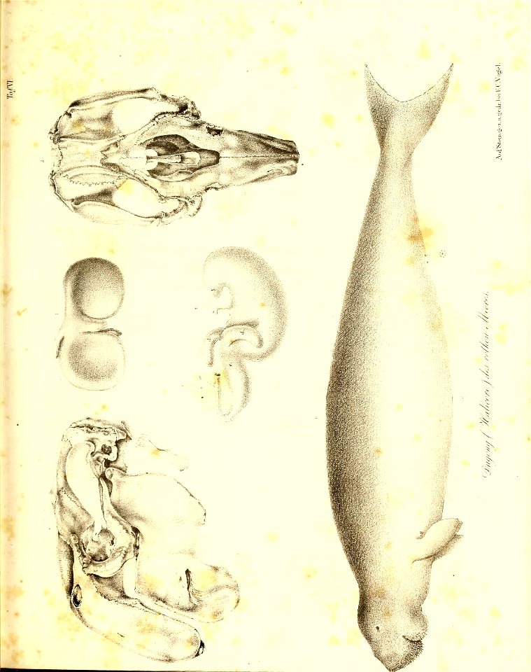n138_w1150