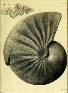 n328_w1150