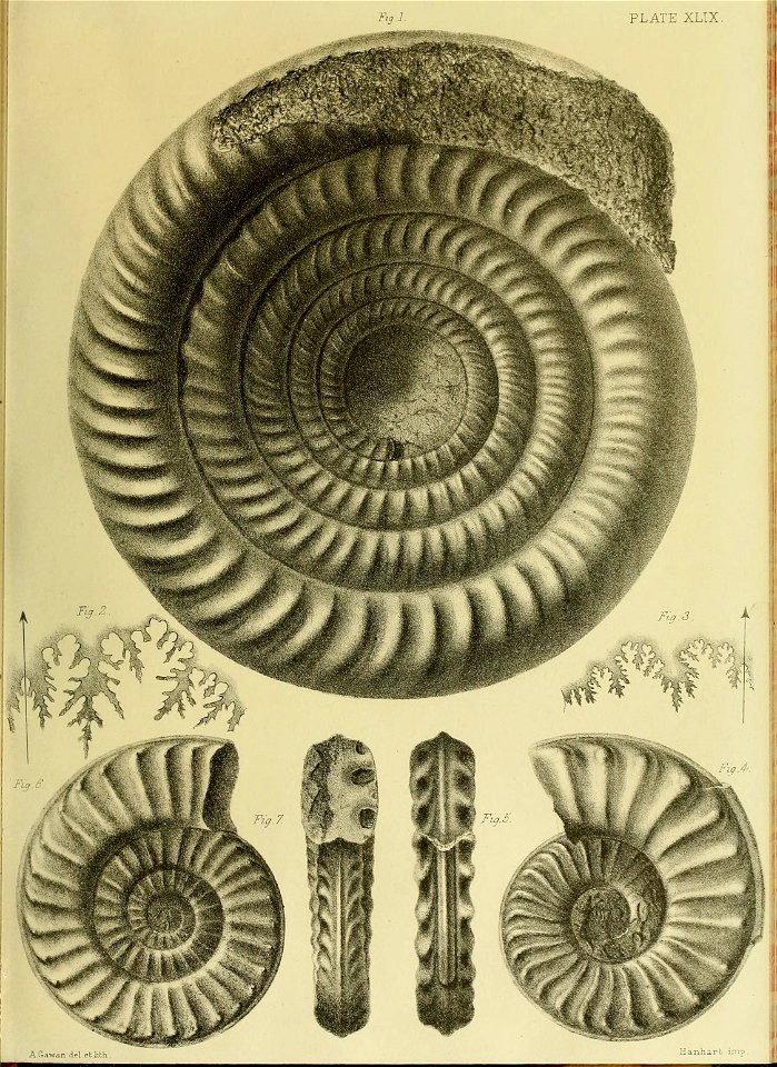 n208_w1150