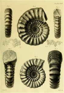 n148_w1150