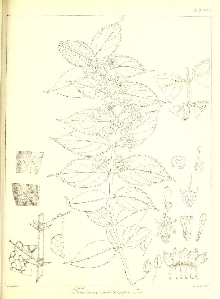 n544_w1150