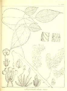 n514_w1150