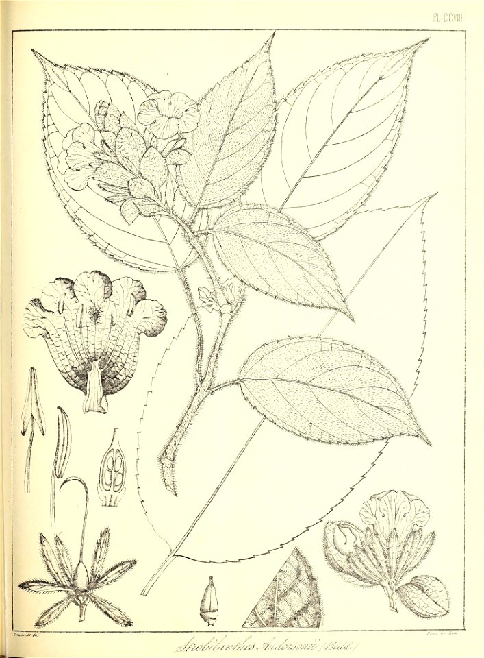 n478_w1150