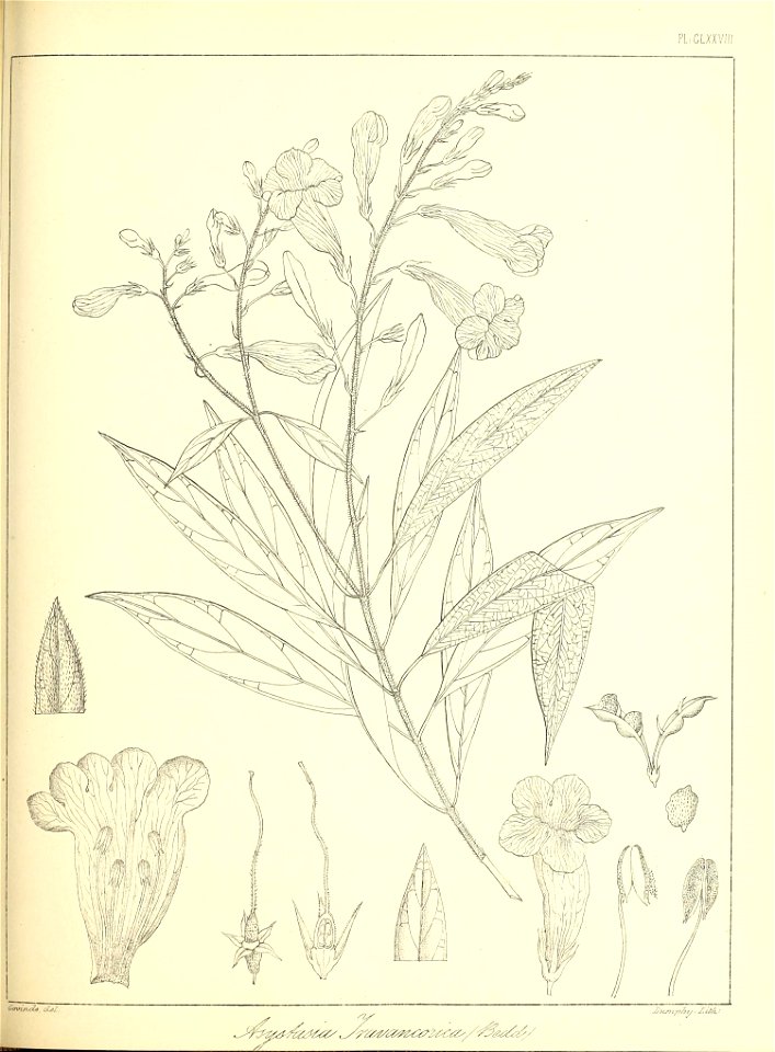 n406_w1150