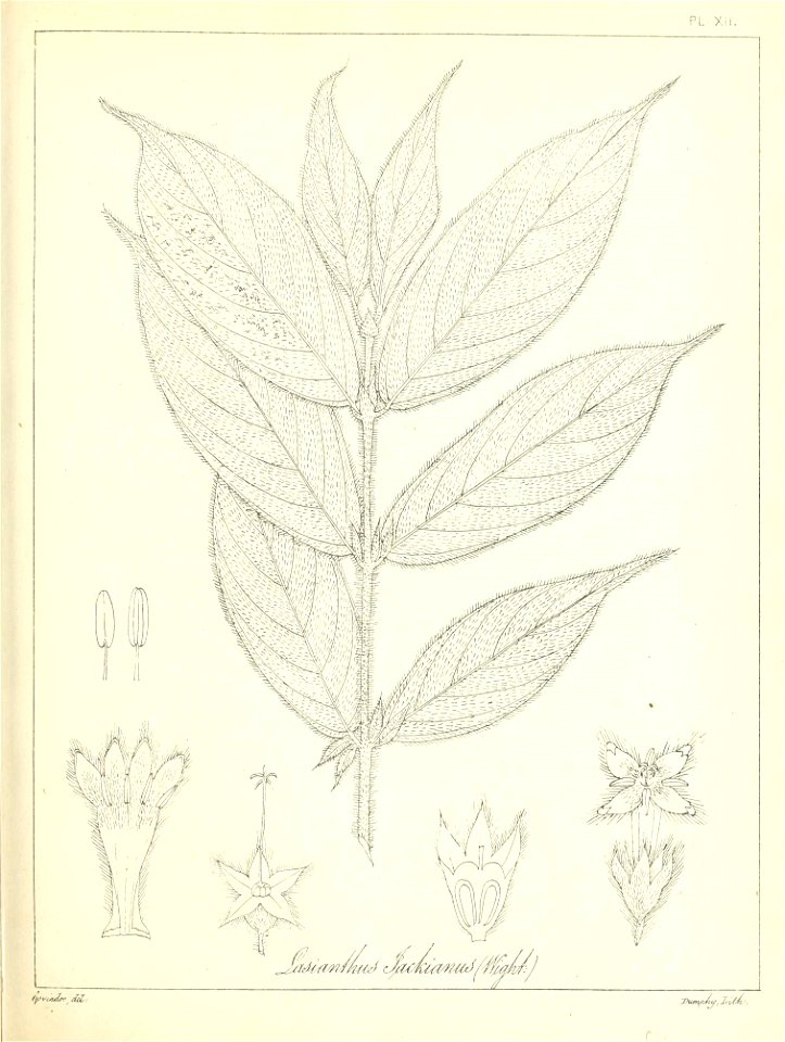 n40_w1150