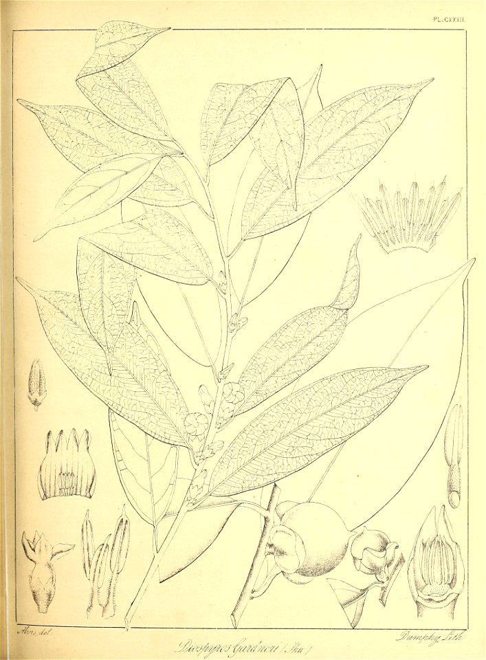 n302_w1150