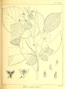 n204_w1150