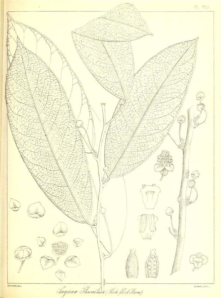n106_w1150