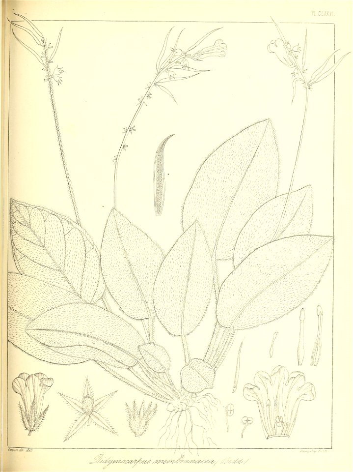 n402_w1150