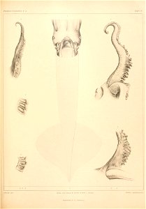 n128_w1150