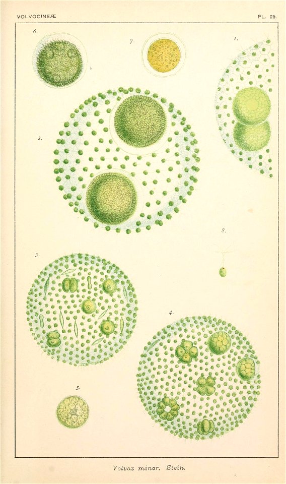 n56_w1150