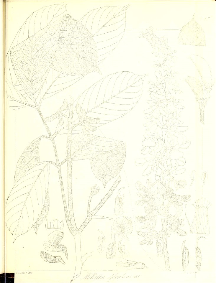 n670_w1150