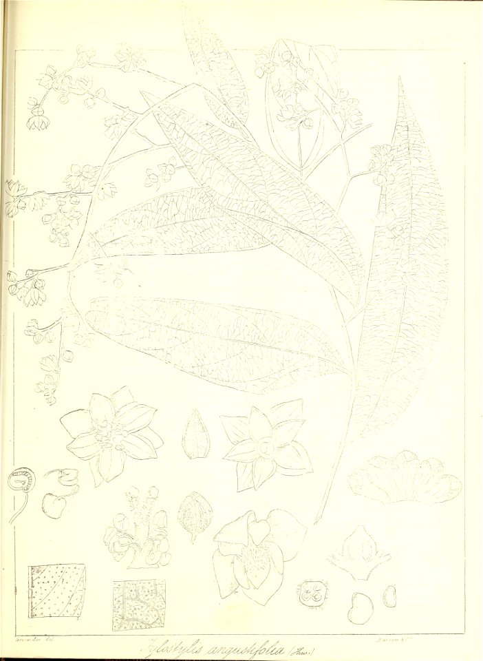 n636_w1150
