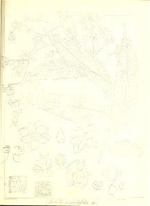 n636_w1150