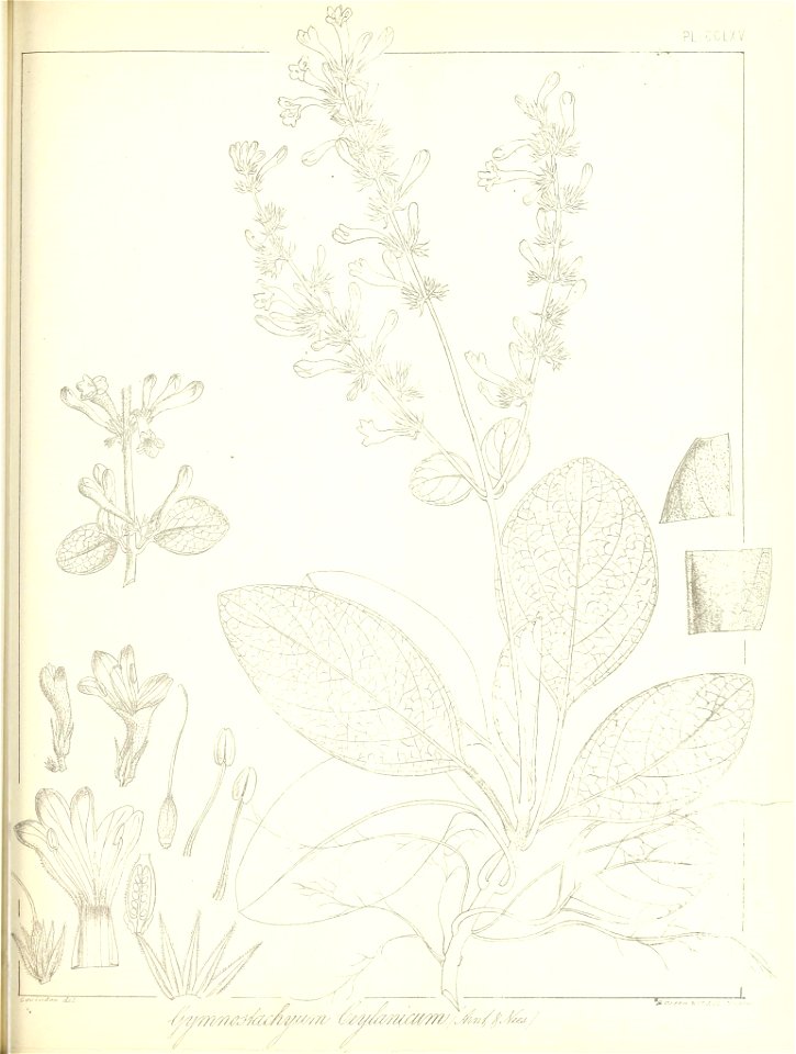 n606_w1150