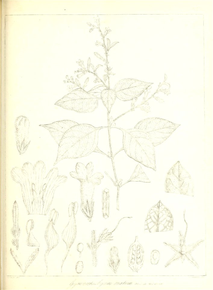 n572_w1150