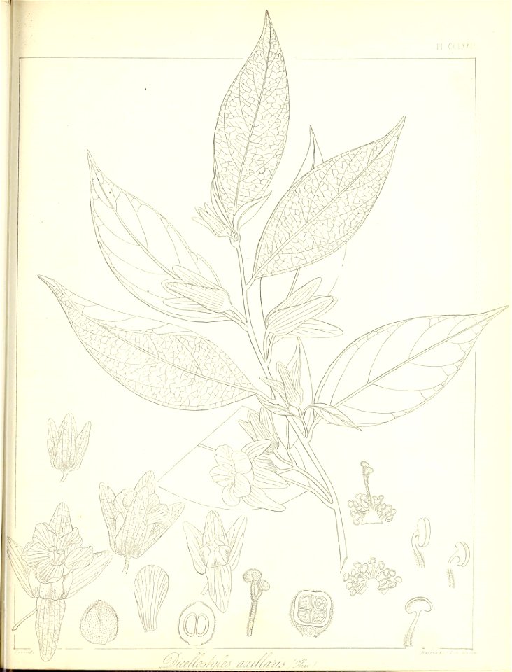 n634_w1150