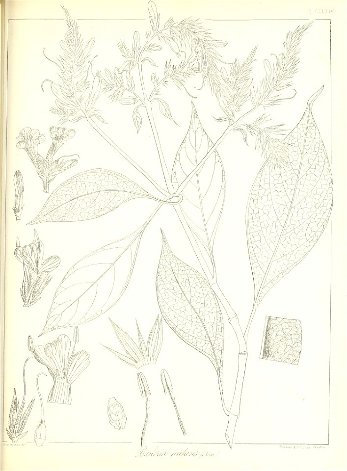 n604_w1150