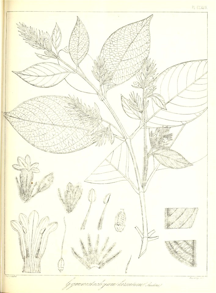 n570_w1150