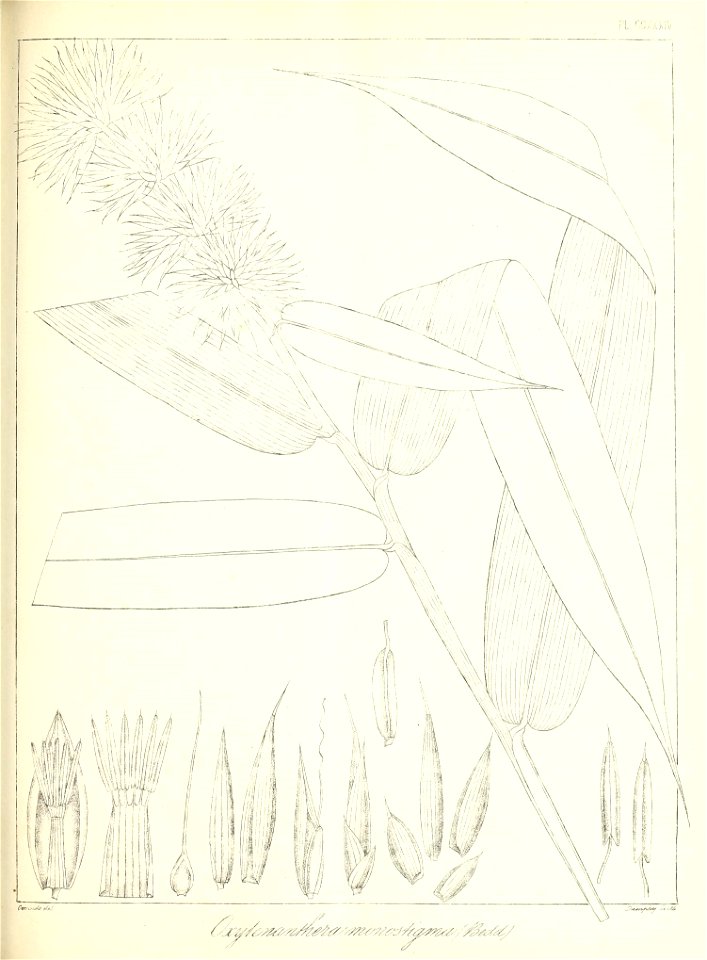 n536_w1150