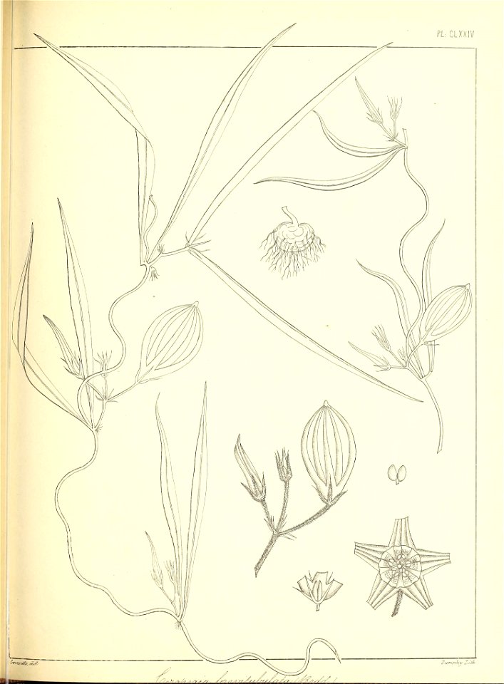 n398_w1150