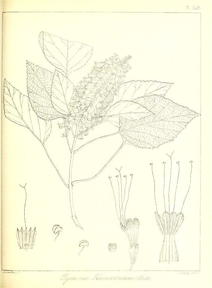 n362_w1150