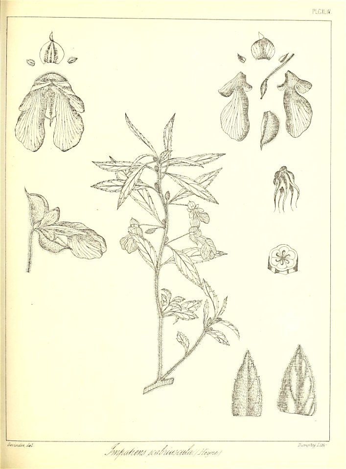 n332_w1150