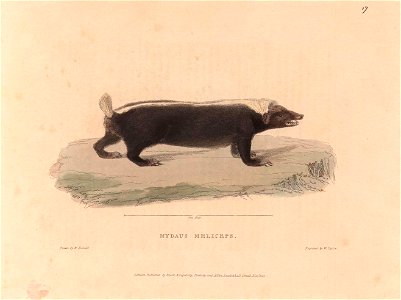 n496_w1150