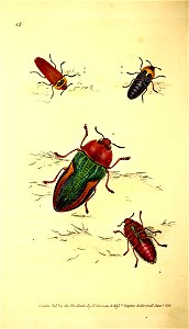 n69_w1150