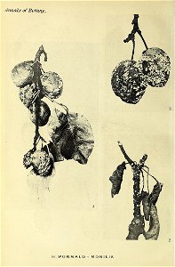 n551_w1150