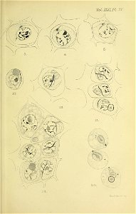 n378_w1150