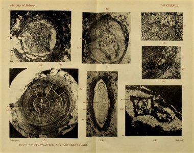 n56_w1150