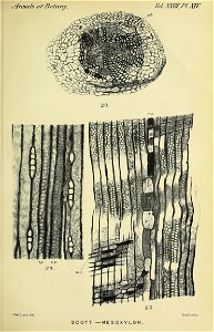 n564_w1150