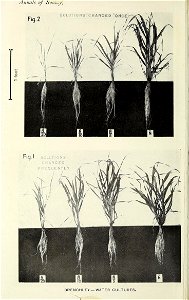 n673_w1150