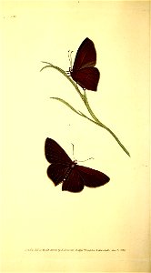 n149_w1150
