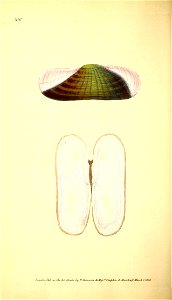 n173_w1150