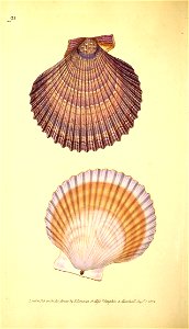 n97_w1150
