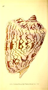 n77_w1150
