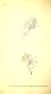 n125_w1150