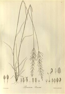 n110_w1150