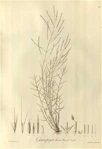 n138_w1150