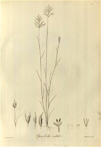 n123_w1150