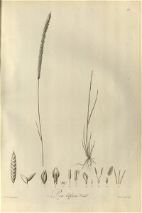 n79_w1150