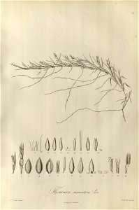 n34_w1150