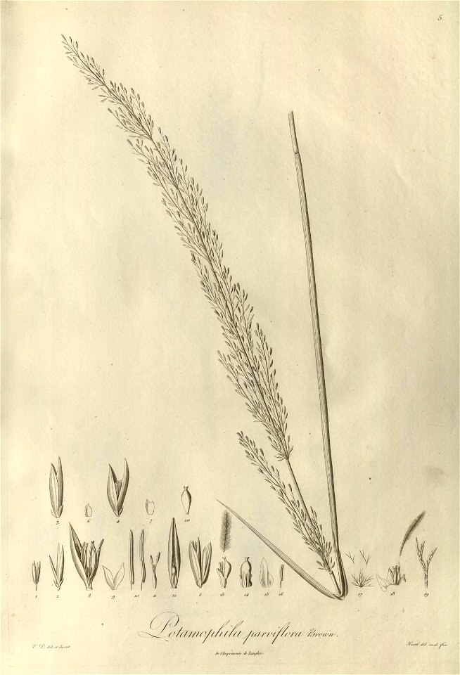 n4_w1150